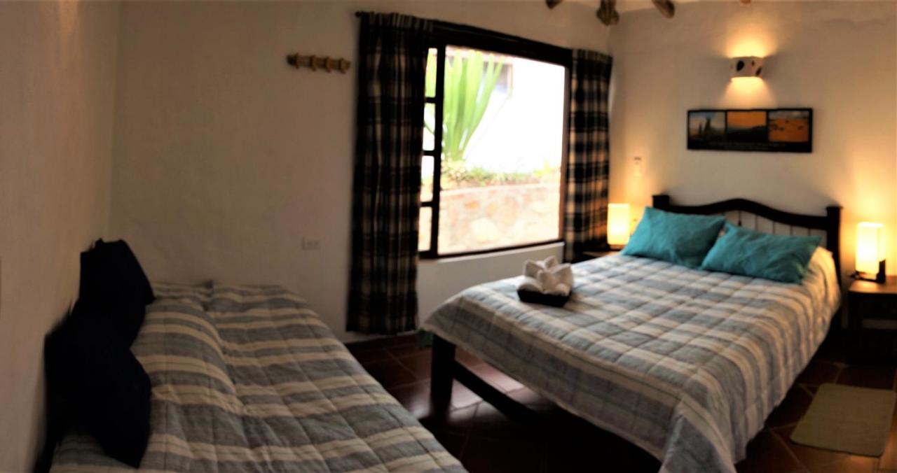 Habitación Doble - 1 o 2 camas