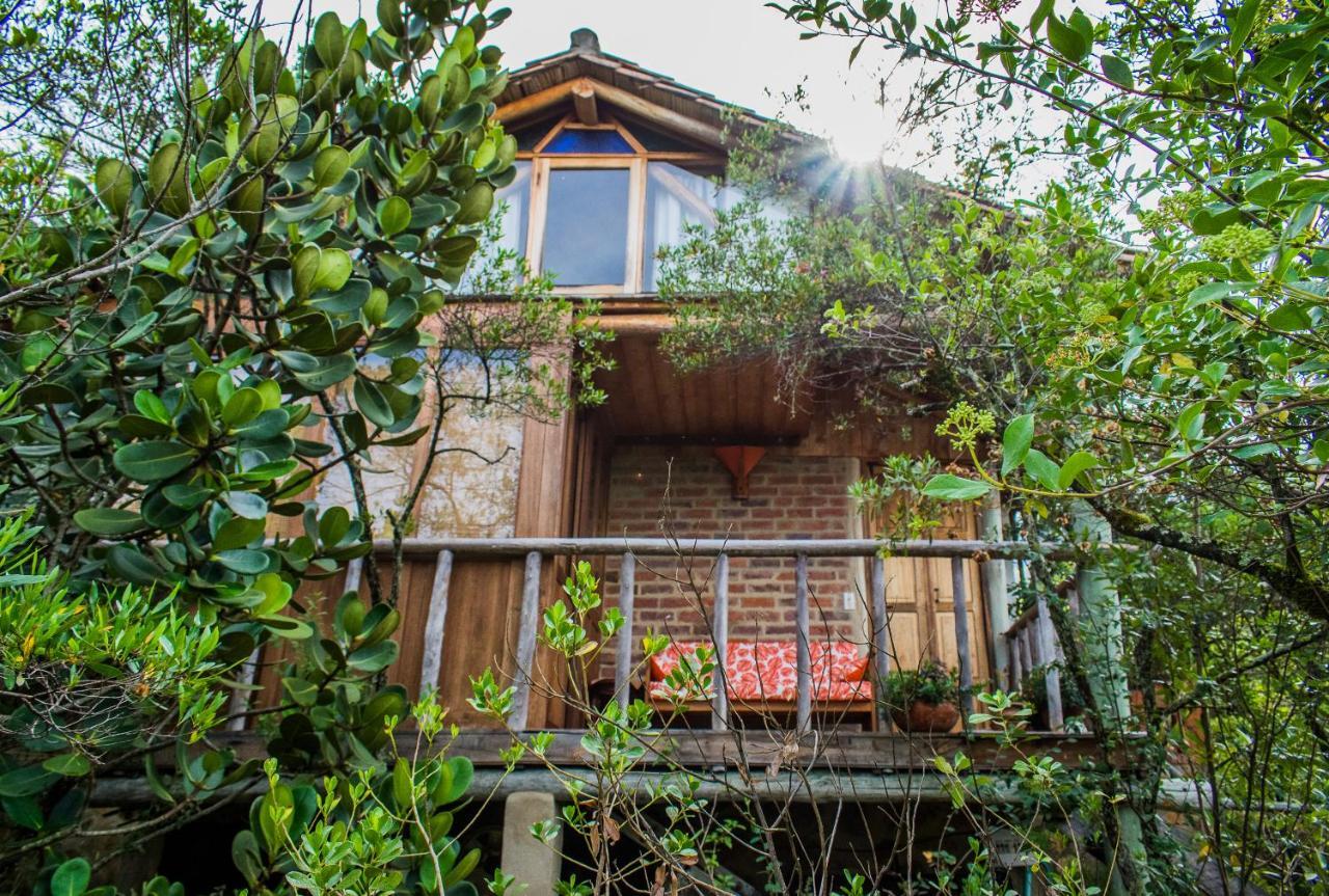 One-Bedroom Chalet,769596580:JPEG